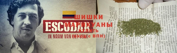 ГАЛЛЮЦИНОГЕННЫЕ ГРИБЫ Мегион