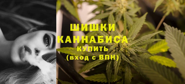 ГАЛЛЮЦИНОГЕННЫЕ ГРИБЫ Мегион