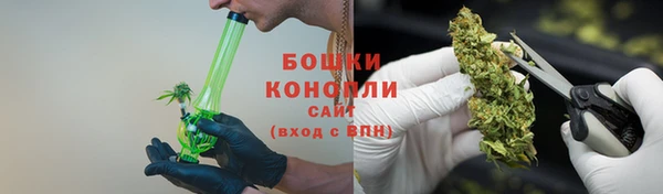 стафф Медногорск