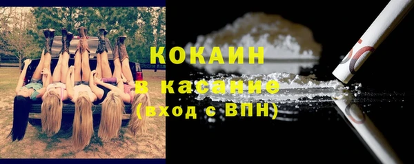 стафф Медногорск