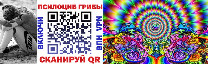 Псилоцибиновые грибы мицелий  где можно купить   МЕГА ONION  Староминская 