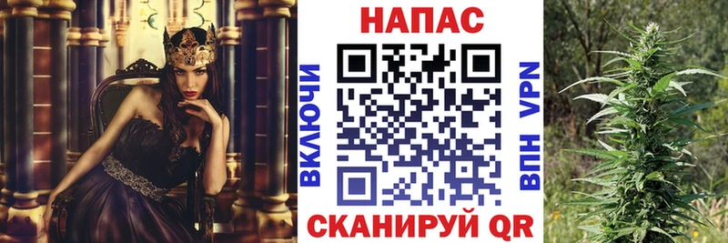 Шишки марихуана OG Kush  маркетплейс официальный сайт  Староминская  как найти  